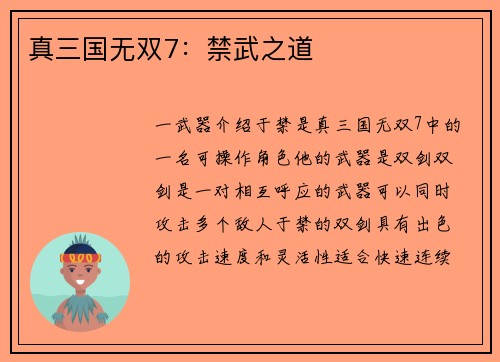 真三国无双7：禁武之道